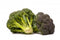 FRESH BROCCOLI At The Neigthborhood Corner Store BROCCOLI FRESH PRODUCE FRUIT VEGETABLES EACH BUNDLE by