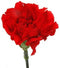 Cut Flowers -Mother's Day Red Carnations