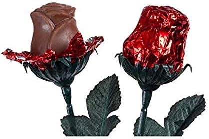 FavorOnline 2 9-inch Personalized Valentine's Red Chocolate Rose Bouquet of Roses with Valentine's Card - Long