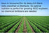 Laura Soybeans, new crop and Non-GMO - directly from the Chambers Family Farm in Iowa. Makes best Soy Milk, Tofu