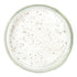 Pebeyre (Summer 7oz) Truffle Salt Collection Truffle