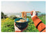 Lotus 30 Organic Brown Rice Ramen (Net Wt Ounce ),, ()