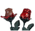 FavorOnline 2 9-inch Personalized Mother's Day Red Chocolate Rose Bouquet of Roses with Gift Card - Long