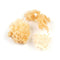 Essential Spice Dried Cauliflower Mushrooms Frilly Texture & Mild, Nutty Flavor Ideal
