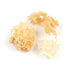 Essential Spice Dried Cauliflower Mushrooms Frilly Texture & Mild, Nutty Flavor Ideal