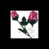 FavorOnline Dozen 9 1/2" One PINK Chocolate Roses - Solid Premium Milk Chocolate Rose Wrapped in Shiny PINK Italian