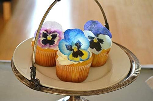 '-Set 12 Sugar Robot - Edible Pansies for cake decorating - Small Size - Edible flowers cake decorations - Premium
