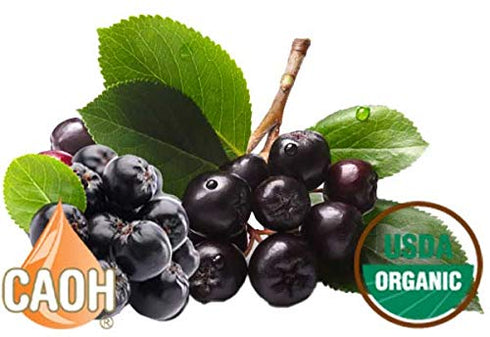 8:1 8 oz Black Aronia Berry ChokeBerry Aronia melanocarpa juice concentrate Organic from CAOH