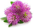 Red Clover Leaf & Flowers, Dried Trifolium pratense by Nature Tea, 4 oz