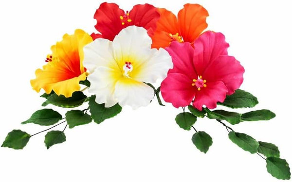 Global Sugar Art Tropical Hibiscus Sugar Flowers for Cakes Large Gumpaste Hawaiian