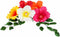 Global Sugar Art Tropical Hibiscus Sugar Flowers for Cakes Large Gumpaste Hawaiian