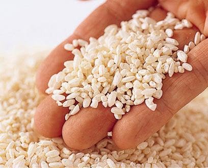 chakoji 17.63oz (500g)- Kawachi Yellow Koji Rice Koji - Handmade miso, sweet sake, koji water, soy sauce, Japanese