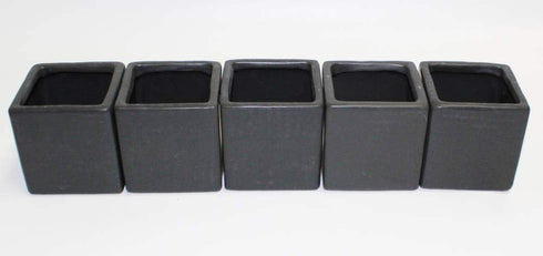 Athena's Garden Set 5 2" 3" A of Succulents in Black Square Pots Each with Polished River Rocks