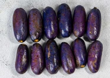 Generic 500g African Pear (Ube)