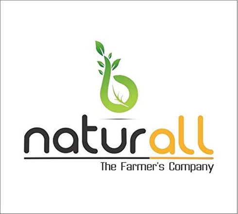 Naturix 100 Camel Milk Powder | Freeze Dried, Gluten Free, No Additives, No Preservatives - GM by B Naturall