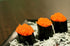 Frozen (50g Orange Genki Tobiko Caviar Premium Flying Fish Roe from Taiwan Glass Jar), Naturally Vibrant Crunch
