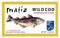 Matiz Wild Cod in Olive Oil | From Spain | 5 Pack