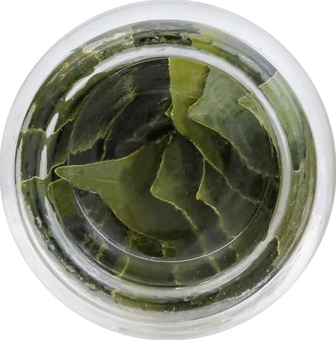 Spice Islands Whole Bay Leaf, 0.14 Oz Pack