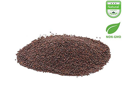Indian Spice Mustard Seeds, 7oz
