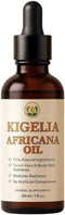 Generic Kigelia Africana Dry Fruit Tincture, Pure Herbal Extract Massage Oil, All Natural