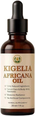 Generic Kigelia Africana Dry Fruit Tincture, Pure Herbal Extract Massage Oil, All Natural