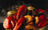 Rocking Planet Pack 2 Pack of Phillips Seafood Seasoning & Blackening Seasoning Bundle used in Phillips Seafood