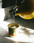 20 Juniper Ridge Douglas Fir & Rose Hip Botanical Tea - Tart & Tangy, Citrus, & Mild Evergreen Notes - Vegan, Caffeine
