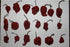 Set 10 10 10 2 (36 Wicked Tickle Spice Gift Ghost, Scorpion, Carolina Reaper Peppers + Free Each Total)