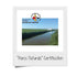 Dacsa Arroz 2 2.2 LBs Rice Round Rice D.O. Valencia - bags