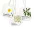 Heilbrunner (4 Packs 8 Bad Magen und Darm Tea / stomachic each Teabags) - fresh from Germany