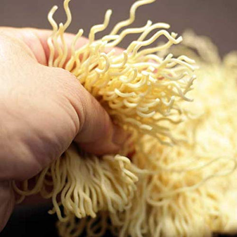 (8 PACK) Hakubaku Authentic Plain Ramen Noodles bulk Kaedama. Product of Japan. Good Asian Teriyaki cold noodles