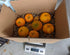 Generic 3 LB (12 15 HONEY TANGERINES FRESH PRODUCE FRUIT VEGETABLES BAG to pcs) - Naturally Grown and Freshly Picked