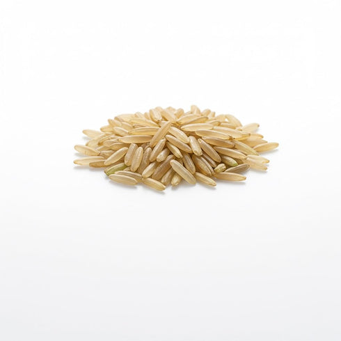 Quick Cooking 2.2LBS Japanese GABA Rice Brown Rice Whole Grain Sprouted Brown Rice