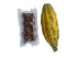 Ceylonwood Herbals 50 Pack Organic Cocoa Seeds, Cacao Seeds, Theobroma cacao Seeds