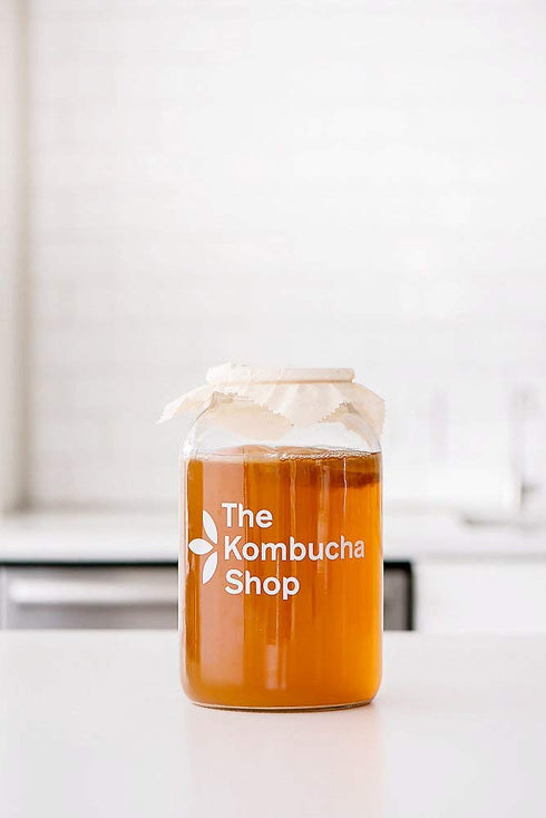 10 The Kombucha Shop - Original - Organic Black & Oolong Loose Leaf Tea Blend - Makes Gallons of Kombucha Tea