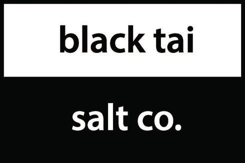 SET 2 4" 8" 2" OF - Himalayan Salt x x Foot Bricks by Black Tai Salt Co.