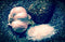 Garlic Salt from the Seasoned Sea Salts Collection by Merchant Spice Co.