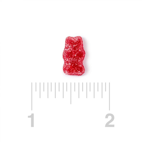 Gummy Gummy (3LB) Bayside Candy Sour Tart Cherry Fun Bears Red Sour-Sweet Bears That Pop with Flavor
