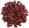Florida Herb House Schisandra Berry Organic (Schizandra Chinesis) (1 oz (1/16 lb.))