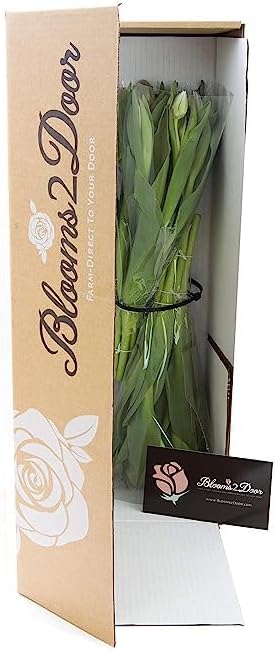 20 KaBloom PRIME OVERNIGHT DELIVERY - WEDDING COLLECTION - PREMIUM Purple Tulips - Farm Direct Wholesale Fresh