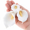 Global Sugar Art Calla Lily Sugar Cake Flowers White with Yellow, Wired,3