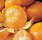 HONEY TANGERINES At The Neighborhood Corner Store HONEY TANGERINES FRESH PRODUCE FRUIT VEGETABLES 3 LB BAG