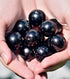 (12-pack) 378mg Antioxidants,170mg 63mg Suivie Jabuticaba Superfruit Antioxidant Drink Still | All Natural | No added