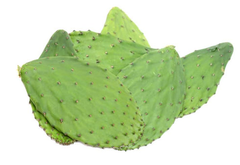 56 Nopal Cactus Powder, Grams, Opuntia Streptacantha Herbal Tea - Resealable Bag