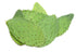 56 Nopal Cactus Powder, Grams, Opuntia Streptacantha Herbal Tea - Resealable Bag