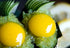(50g Wasabi Tobiko Premium Green Flying Fish Roe with Mild Wasabi Crunch Glass Jar)