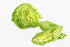 2 count Kejora Iceberg Lettuce
