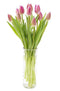 Kabloom - Mystery Tulip Bouquet Of The Grower's Choice With A Vase,