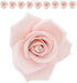 3 Inch, 9 Count Global Sugar Art Peace Rose Sugar Cake Flowers, Pink by Chef Alan Tetreault