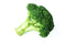 Bristol Farms , Broccoli Organic, 1 Count